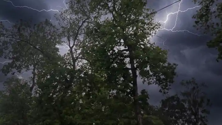 Bihar weather