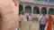 patna Roll Number Error Class 3 Girl Beaten Teacher Faces Suspension