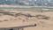 Gaya Missing Youth Found Dead in Bushes Injury Marks Shock