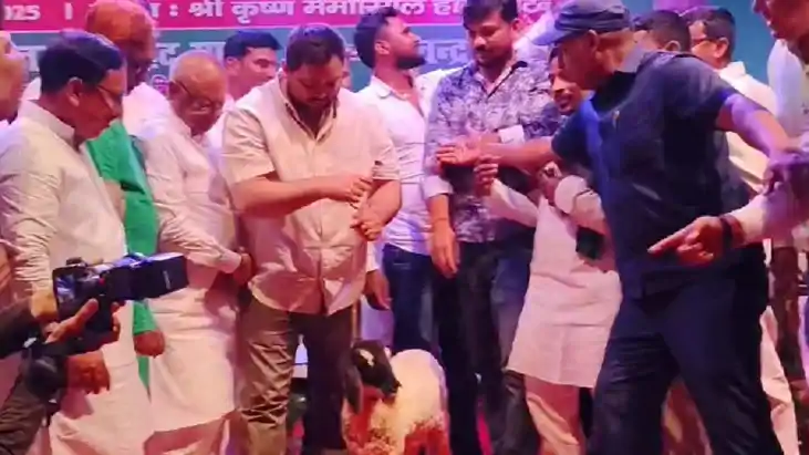 Bihar politics - तेजस्वी यादव को भेंट की गई भेड़, मंच पर ही Bihar politics - तेजस्वी यादव को भेंट की गई भेड़, मंच पर ही