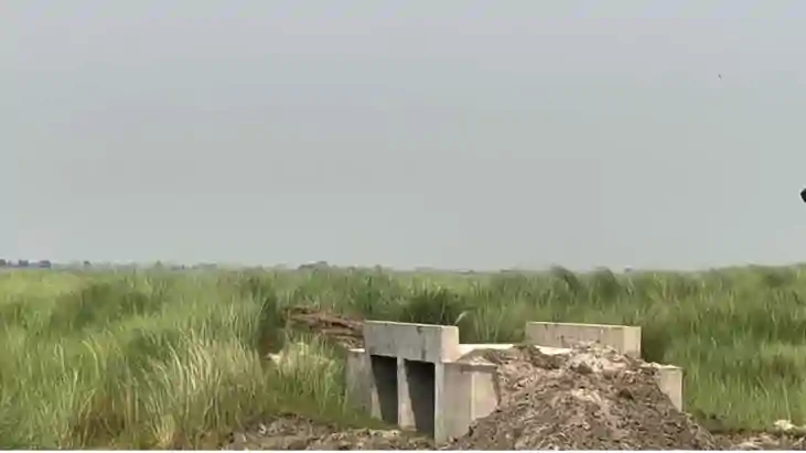 Bihar News : बिना सड़क नदी और चंवर में बना दीं 4 पुलिया; बिह