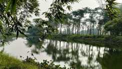 Bihar News : जल जीवन हरियाली अभियान से दम तोड़ रहे जलस्रोतों की लौटी मुस्कान, सात वर्ष में 26 हजार से अधिक तालाब-पोखर का हुआ जीर्णोद्धार