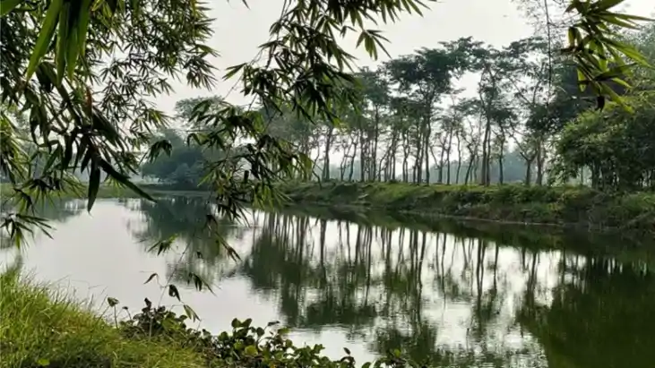 Bihar News : जल जीवन हरियाली अभियान से दम तोड़ रहे जलस्रोतों 