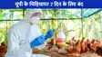 UP NEWS: यूपी में बर्ड फ्लू का खतरा! लखनऊ समेत 3 चिड़ियाघर और इटावा लायन सफारी एक हफ्ते के लिए बंद