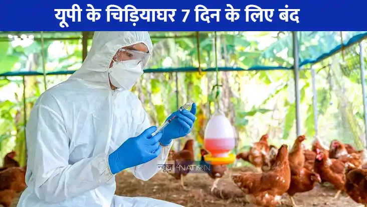 UP NEWS: यूपी में बर्ड फ्लू का खतरा! लखनऊ समेत 3 चिड़ियाघर औ UP NEWS: यूपी में बर्ड फ्लू का खतरा! लखनऊ समेत 3 चिड़ियाघर औ