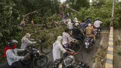 Storm and rain wreak havoc 