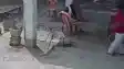 Muzaffarpur Deaf School Abuse Video Sparks Massive Outrage