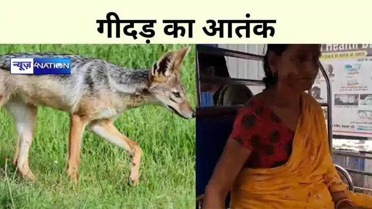 Jackal Terror Jackal Terror