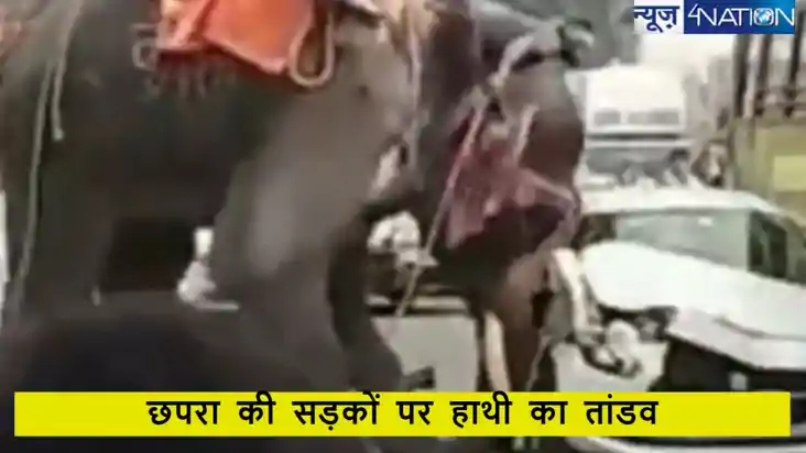 बिहार के छपरा में दशहरा जुलूस में हाथी ने मचाया उत्पात, बीच 