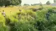 Bihar News : गोपालगंज में उत्पाद विभाग की बड़ी कार्रवाई, नाव और बोलेरो से 895 लीटर देसी-विदेशी शराब जब्त, एक गिरफ्तार