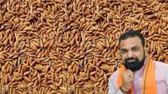 Bihar Paddy Procurement 