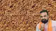 Bihar Paddy Procurement 