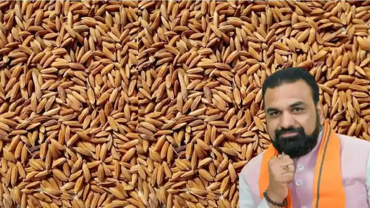 Bihar Paddy Procurement 