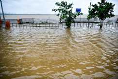 Ganga Recedes But Flood Threat Persists Across Bihar
