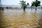 Ganga Recedes But Flood Threat Persists Across Bihar