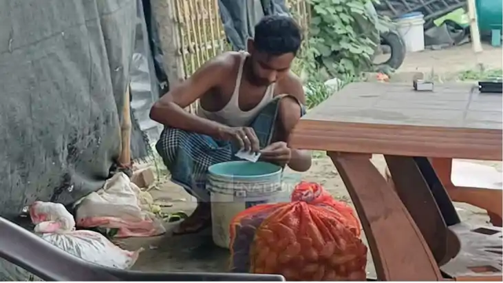 Bihar Chemical Vegetables: सब्जी ताजी या जहरीली? कैमरे में क