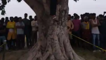 Breaking news update from News4Nation