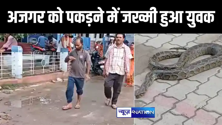 गोपालगंज में युवक ने की अजगर को पकड़ने की कोशिश, गंभीर रूप से