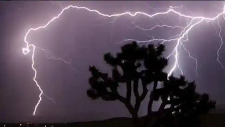 Bihar Weather Independence Day Weather Alert Storms Rain Thr