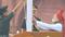 Vande Mataram Echoes at Red Fort as PM Modi Hoists Tricolour