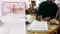 Bihar Goes Paperless Land Registry Turns Easier Safer Smarter