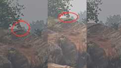 बाघ का आतंक 