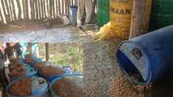 पुलिस की छापेमारी 