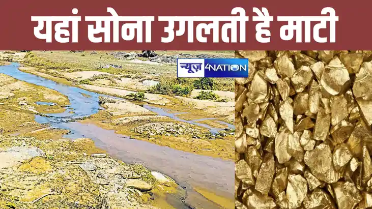 बिहार है भारत की 'सोने की चिड़िया' ! देश का 44 प्रतिशत सोना 