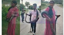 10 feet cobra snake rescue woman janaki devi 