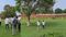 Nalanda Ruins Clash Guards and Tourists Spar Over Harassment