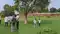 Nalanda Ruins Clash Guards and Tourists Spar Over Harassment