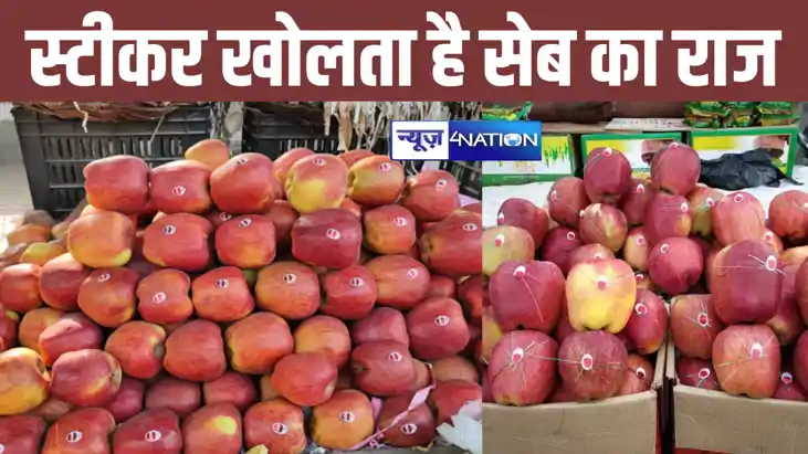 सेब पर लगे स्टीकर का सच जानकर उड़ जाएंगे होश, खरीदने से पहले