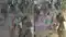 Patna Police Negligence News