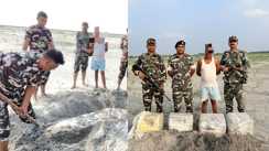 भारत-नेपाल सीमा पर एसएसबी की बड़ी कार्रवाई: 80 किलो गांजे के साथ एक तस्कर गिरफ्तार, कोसी पालर के रेत में छिपाकर रखा था बंडल