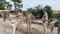 IG Vikas Vaibhav Issues Strict Warning to Sand Mafia in Bihar