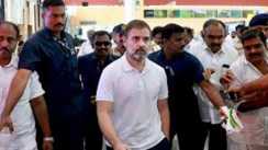  Rahul s Voter Rights Yatra Led to Candidate Collapse