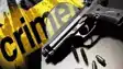 Bihar Crime News: हथियार तस्करों पर STF और पुलिस की कार्रवाई, देसी पिस्टल और जिंदा कारतूस सहित 4 गिरफ्तार