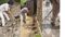 Bikram Thana 3000 Litre Lahan Destroyed