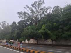 Bihar Weather 