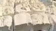 Fake Paneer Crisis 