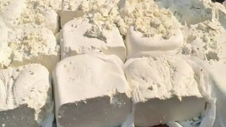 Fake Paneer Crisis 