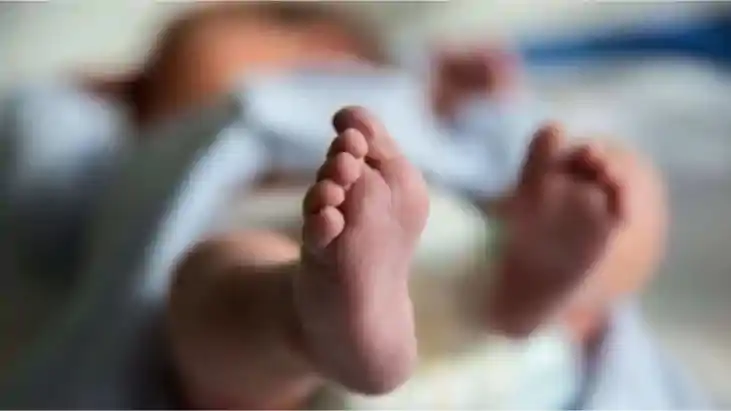 Bihar News : मुजफ्फरपुर में वज्रपात की चपेट में आने से 2 मही