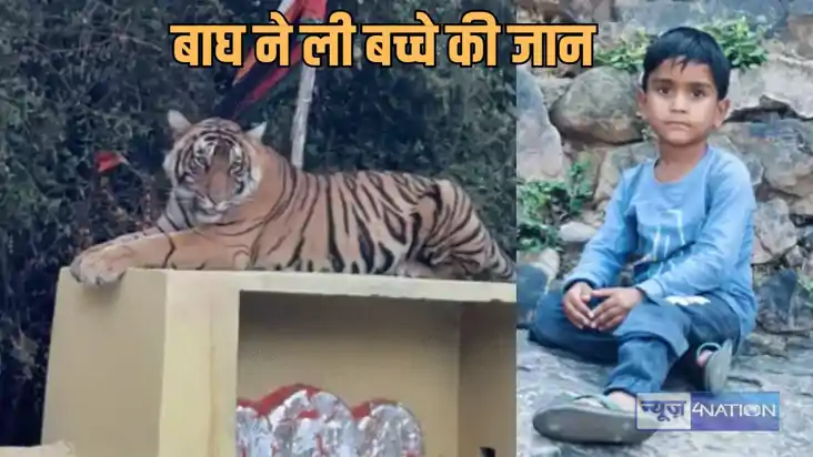 Tiger Attack - परिवार के साथ मंदिर आए बच्चे को उठाकर ले गया 