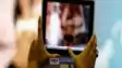 pornographic video in online meeting