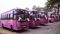 Bihar News : बिहार में अंतर्राज्यीय बस सेवा को मिली रफ्तार, BSRTC के बेड़े में शामिल हुईं 78 नई बसें, 6 राज्यों के लिए जल्द शुरू होगा परिचालन 