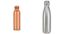 Copper or stainless steel bottle which is safer 