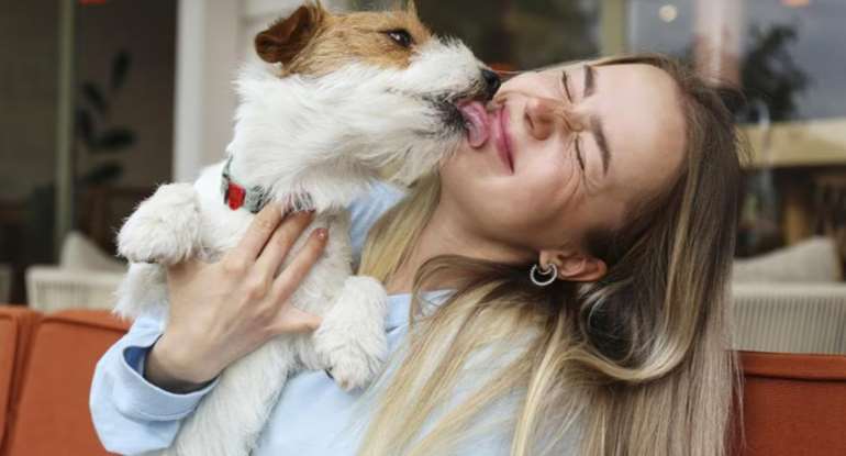 Pet dog licking face