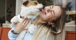 Pet dog licking face