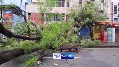 Weather department issued alert for Bihar