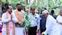 Bihar News : बिहार में तीन महीने तक चलेगा वन महोत्सव, सरकार ने पांच करोड़ पौधे लगाने का रखा लक्ष्य